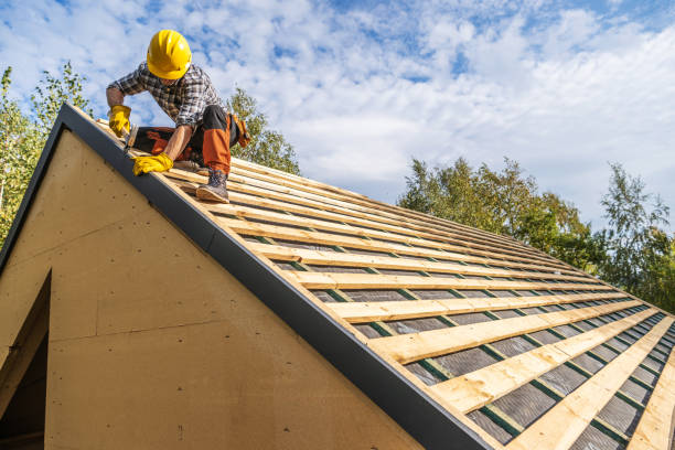 Best Roof Gutter Cleaning  in Champlin, MN
