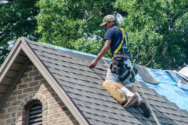 Gutter Installation and Roofing in Champlin, MN
