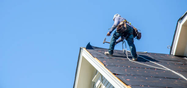 Best Storm Damage Roof Repair  in Champlin, MN